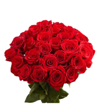 Hoa Hồng Đỏ Pháp