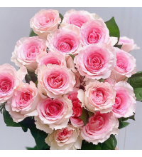 Hoa Hồng Lạc Thần 