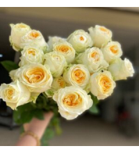 Hoa Hồng Vàng Victor