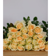 Hoa Hồng Trứng Gà