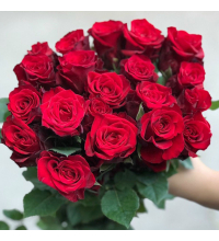 Hoa Hồng Đỏ Mina 