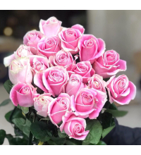 Hoa Hồng Hồng Trà 