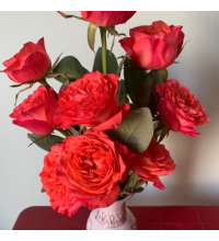 Hoa Hồng Hoả Diệm 